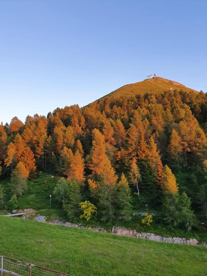 Rifugio Campelli Hotell Barzio Exteriör bild